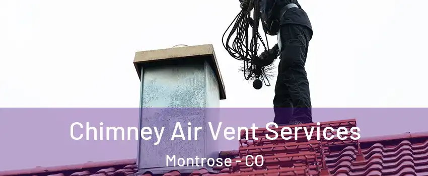  Chimney Air Vent Services Montrose - CO