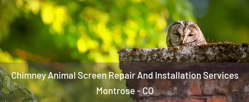  Chimney Animal Screen Repair And Installation Services Montrose - CO