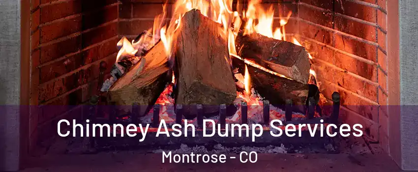  Chimney Ash Dump Services Montrose - CO