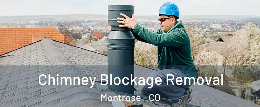  Chimney Blockage Removal Montrose - CO