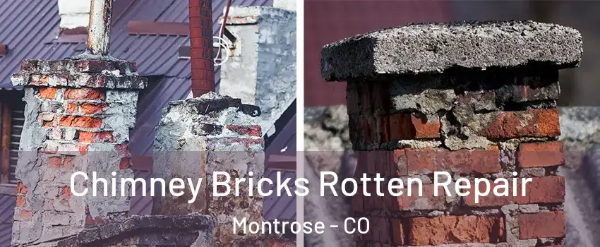  Chimney Bricks Rotten Repair Montrose - CO