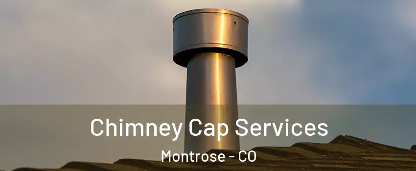 Chimney Cap Services Montrose - CO