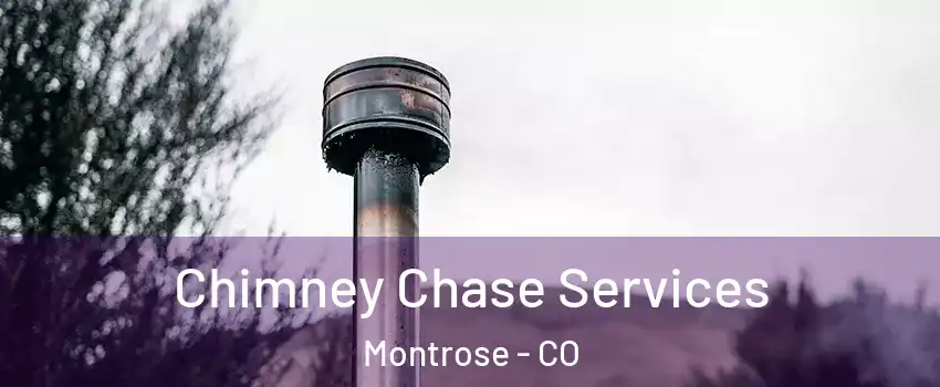  Chimney Chase Services Montrose - CO
