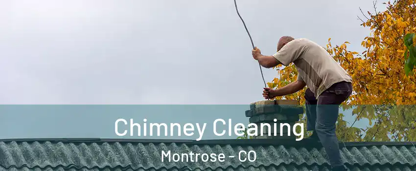  Chimney Cleaning Montrose - CO