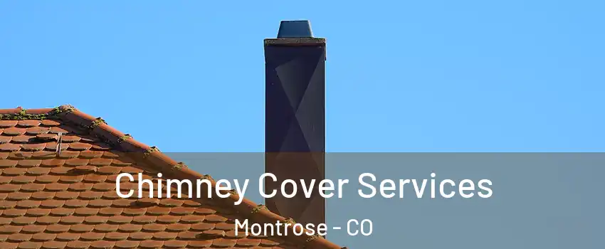  Chimney Cover Services Montrose - CO