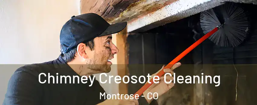  Chimney Creosote Cleaning Montrose - CO