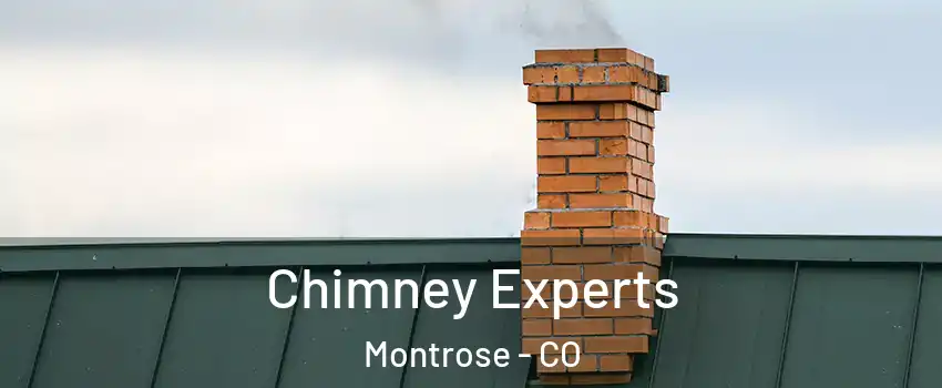  Chimney Experts Montrose - CO