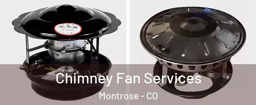  Chimney Fan Services Montrose - CO