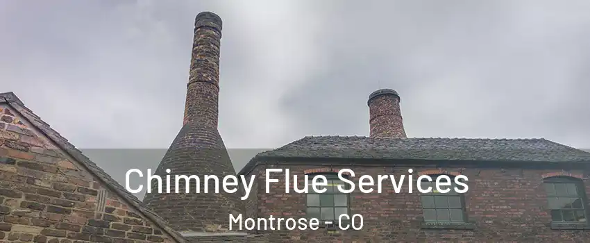  Chimney Flue Services Montrose - CO