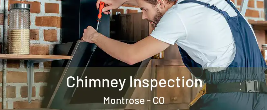  Chimney Inspection Montrose - CO