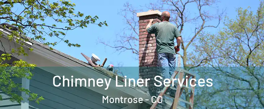  Chimney Liner Services Montrose - CO