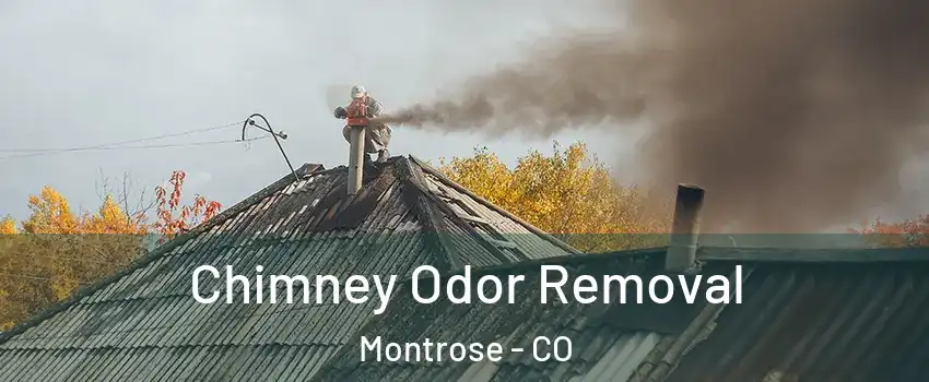 Chimney Odor Removal Montrose - CO