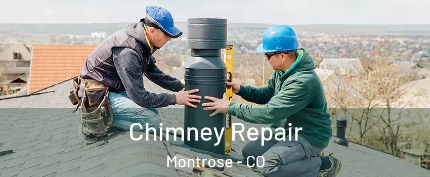  Chimney Repair Montrose - CO