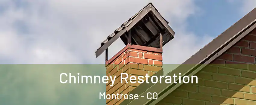  Chimney Restoration Montrose - CO
