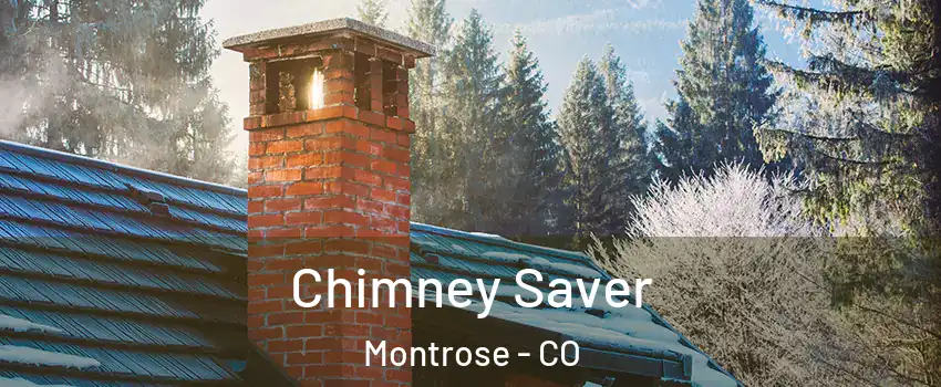 Chimney Saver Montrose - CO