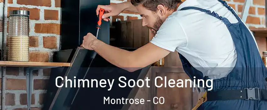  Chimney Soot Cleaning Montrose - CO