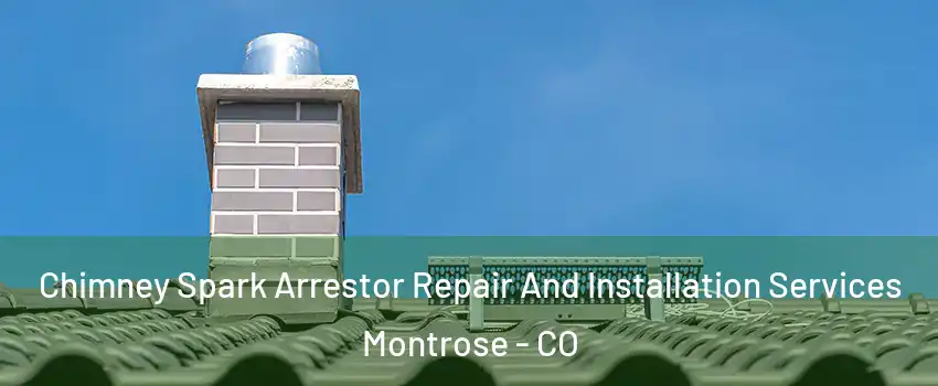  Chimney Spark Arrestor Repair And Installation Services Montrose - CO
