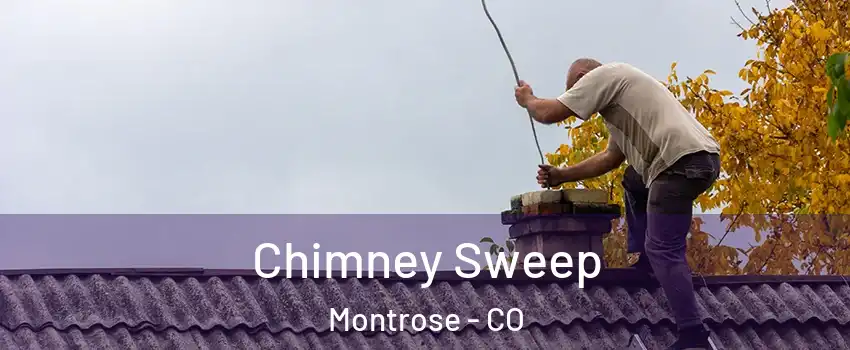  Chimney Sweep Montrose - CO