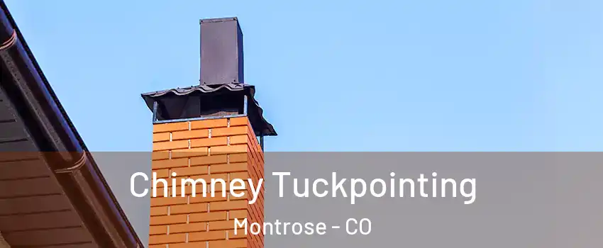  Chimney Tuckpointing Montrose - CO
