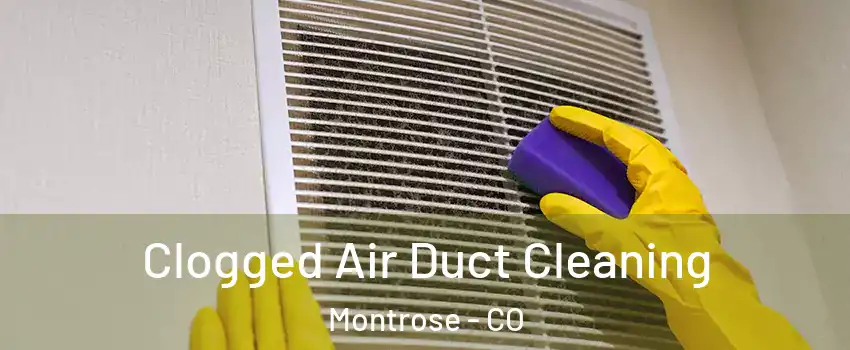  Clogged Air Duct Cleaning Montrose - CO