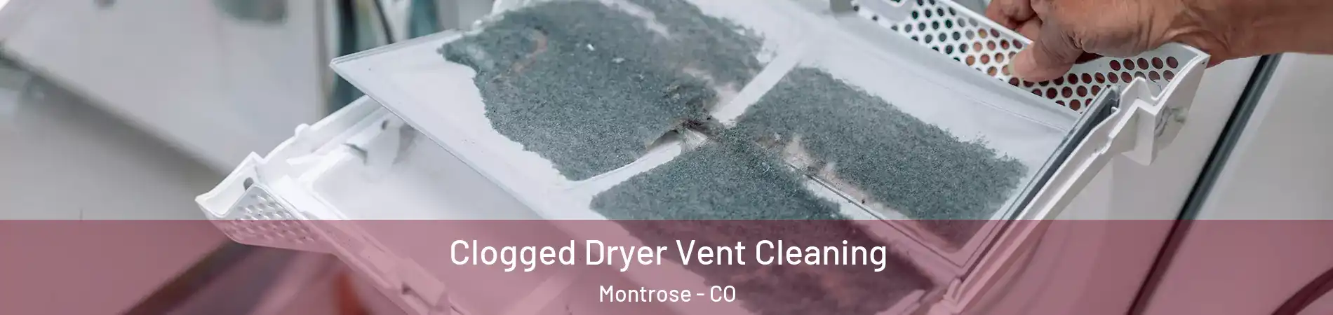  Clogged Dryer Vent Cleaning Montrose - CO