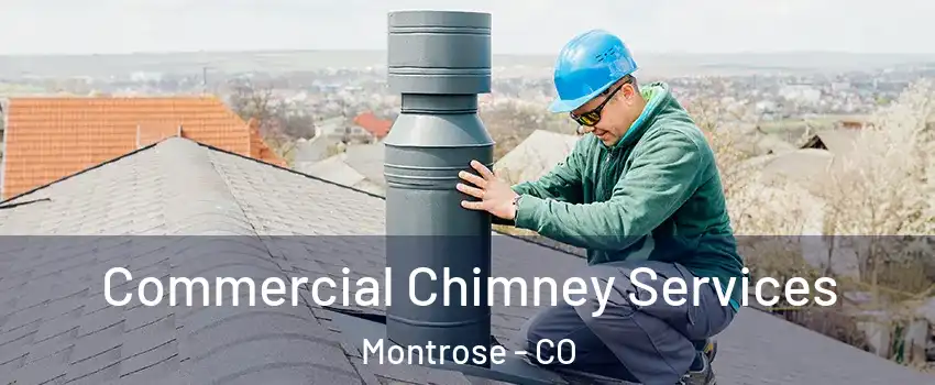  Commercial Chimney Services Montrose - CO