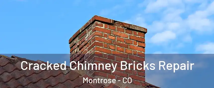  Cracked Chimney Bricks Repair Montrose - CO