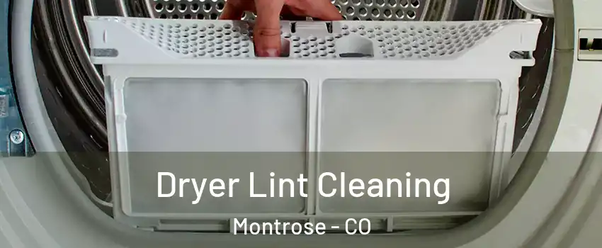  Dryer Lint Cleaning Montrose - CO