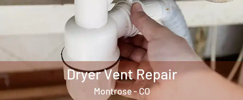  Dryer Vent Repair Montrose - CO