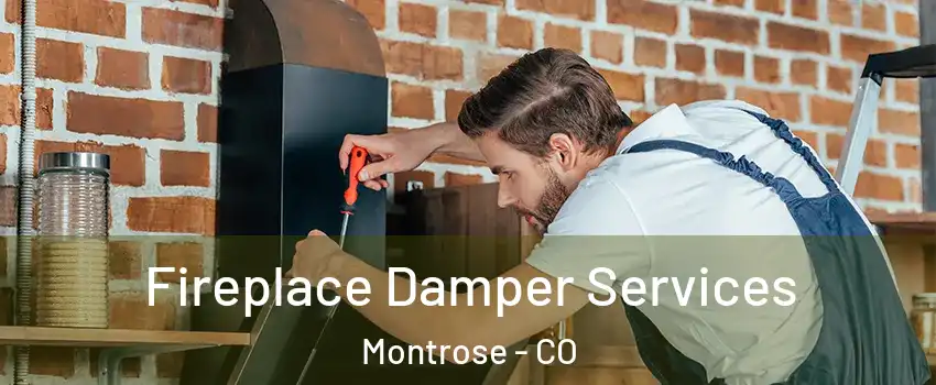  Fireplace Damper Services Montrose - CO