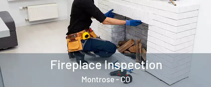  Fireplace Inspection Montrose - CO