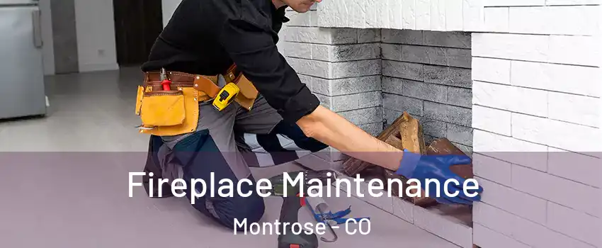  Fireplace Maintenance Montrose - CO