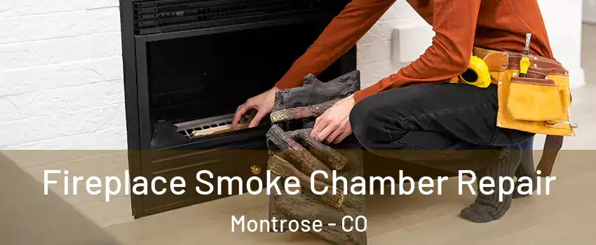  Fireplace Smoke Chamber Repair Montrose - CO