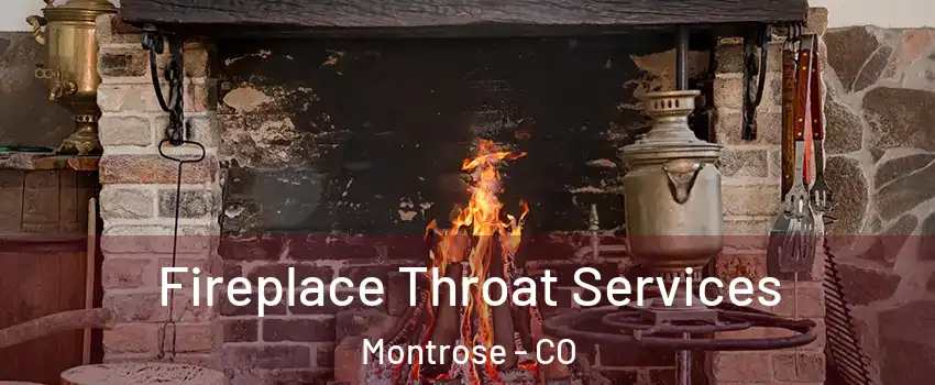  Fireplace Throat Services Montrose - CO