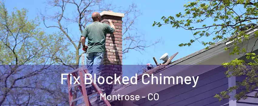  Fix Blocked Chimney Montrose - CO