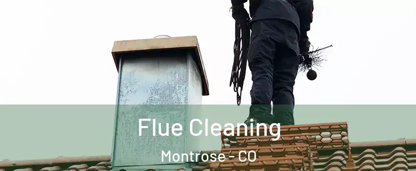  Flue Cleaning Montrose - CO