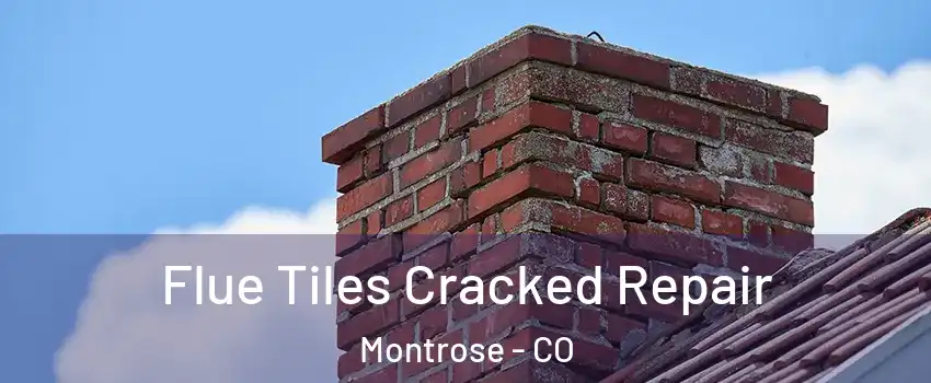 Flue Tiles Cracked Repair Montrose - CO