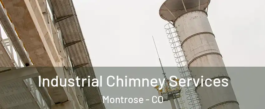  Industrial Chimney Services Montrose - CO