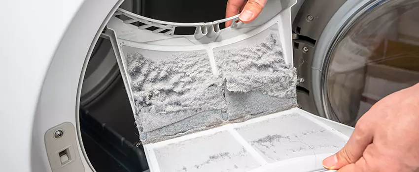 Best Dryer Lint Removal Company in Montrose, Colorado