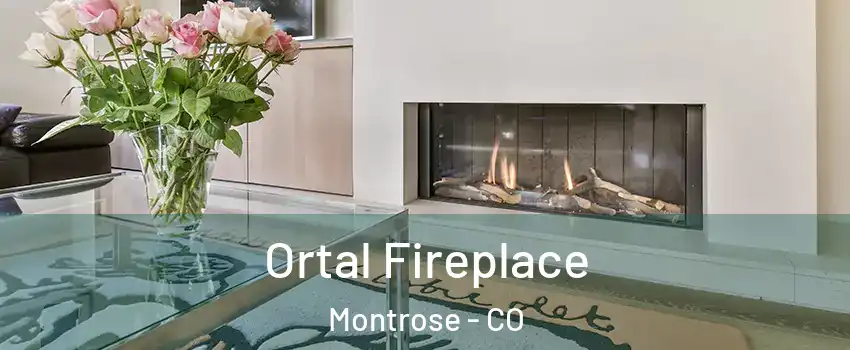  Ortal Fireplace Montrose - CO