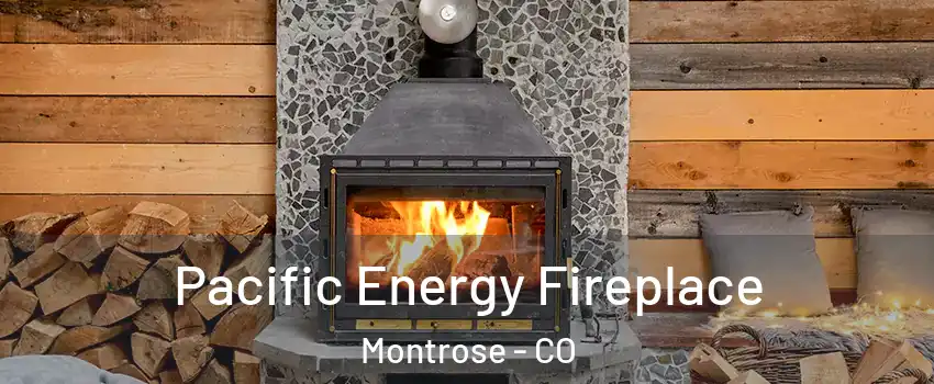  Pacific Energy Fireplace Montrose - CO